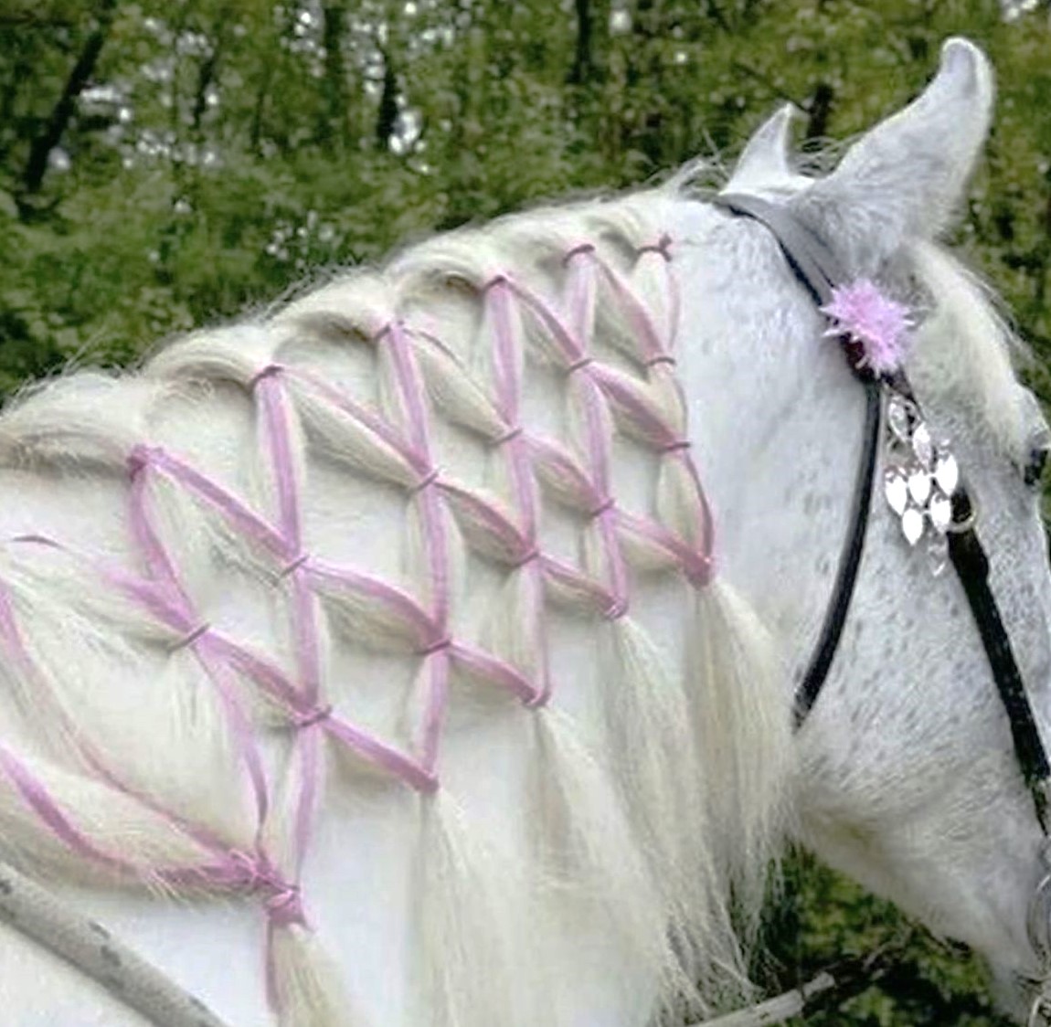 ♡ (@dreamyyarchive) on Twitter photo 