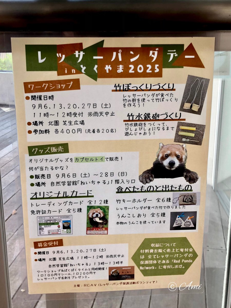 amiami594's tweet photo. オリジナルグッズ カプセルトイは9/28まで設置いたします。
材料費を除く 売上と寄付金はレッサーパンダの保護団体である 『Red Panda Network』に全て寄付いたします。
#レッサーパンダデーinとくやま #周南市徳山動物園 #RCAV #レッサーパンダ保護活動ボランティア https://t.co/iiSnwQZjQF