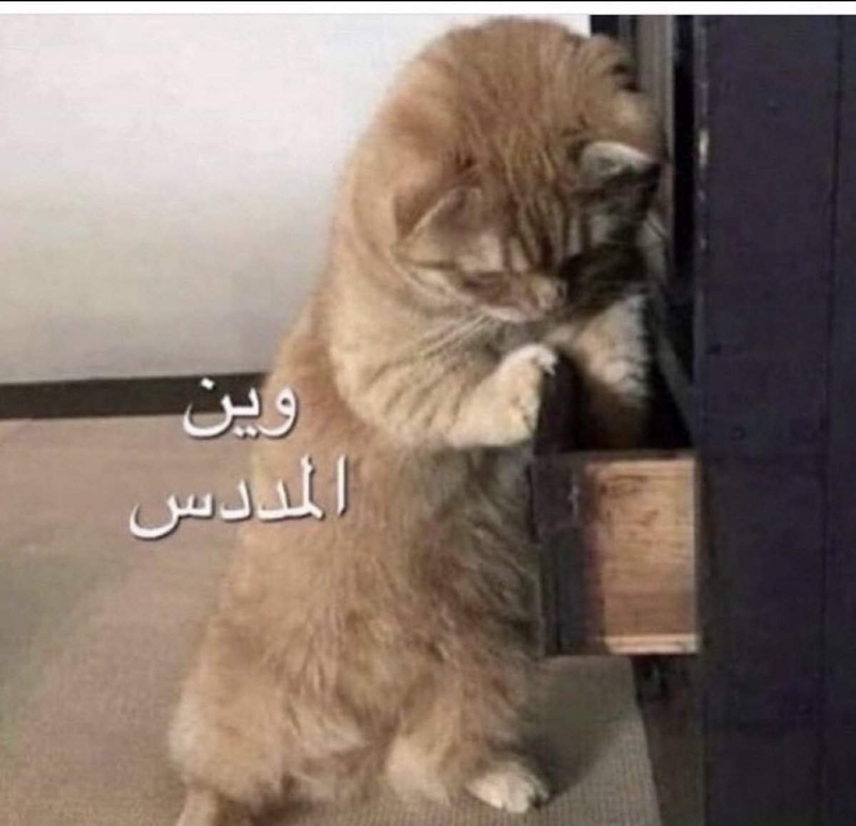 LAMA4860's tweet photo. @F_d9999 أجل لو  يكرهك وش بتسوي له 🌚✌🏻 https://t.co/afNbbw5XuB