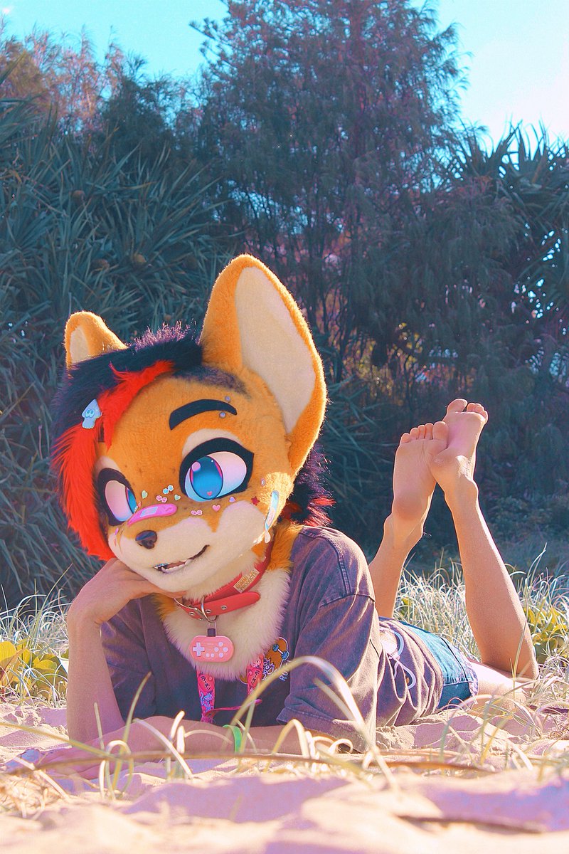 Hey Beach!
Pics by @zeph_rotting