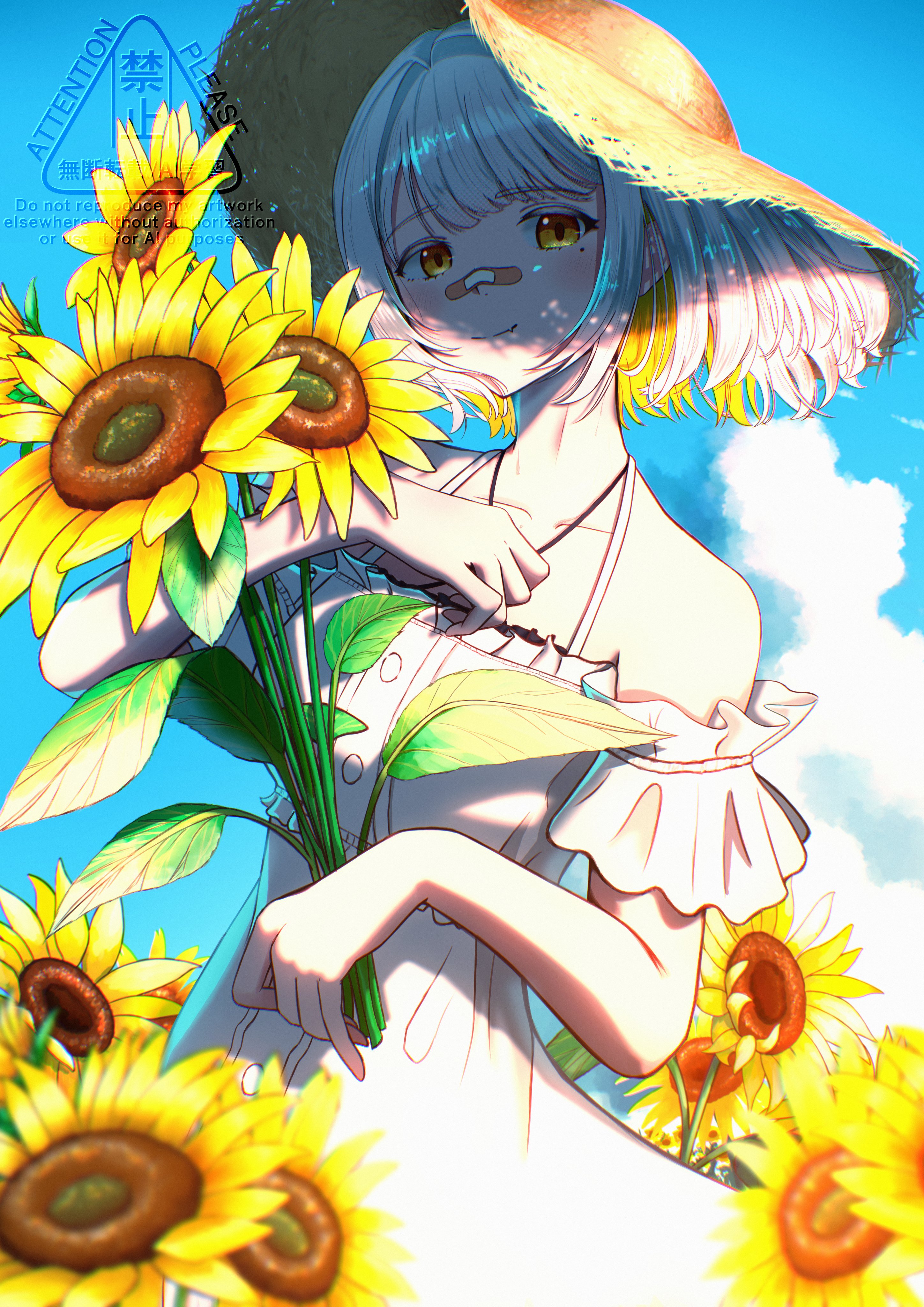 --hachiさま-- HACHI🐝Live Blu-ray 受注販売中！ (@8HaChi_hacchi) / X