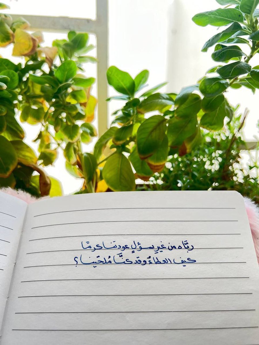 أتيتُ ياربّ والآمالُ تحملني
إليك ماخاب قلبٌ أنت رجواهُ

أنت الرّحيمُ إذا أنّتْ مواجعُنا
ماضاقَتْ النّفسُ إلّا قلتُ ربّاهُ

أنتَ البصيرُ وحالي أنت تعلمهُ
فالطفْ بعبدٍ ضعيفٍ إنّكَ اللهُ