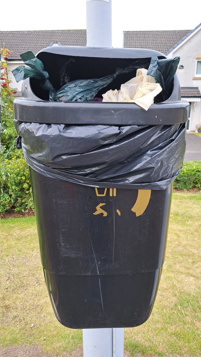 DerekAGrist tweet media