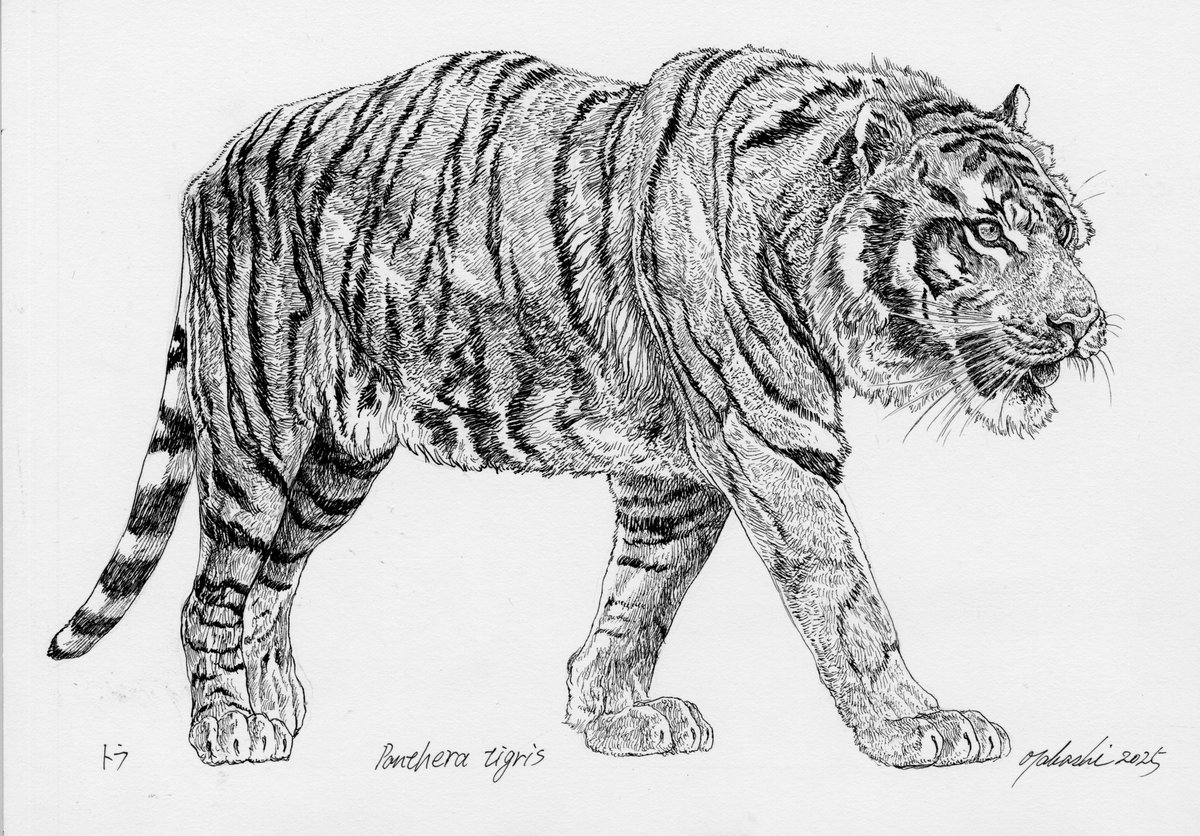 【原画】『大陸間移動装置』（絵画　動物　チワワ　黒猫　植物　龍　苔　蛇） 原画】『大陸間移動装置』（絵画 動物 チワワ 黒猫 植物 龍 苔 蛇）