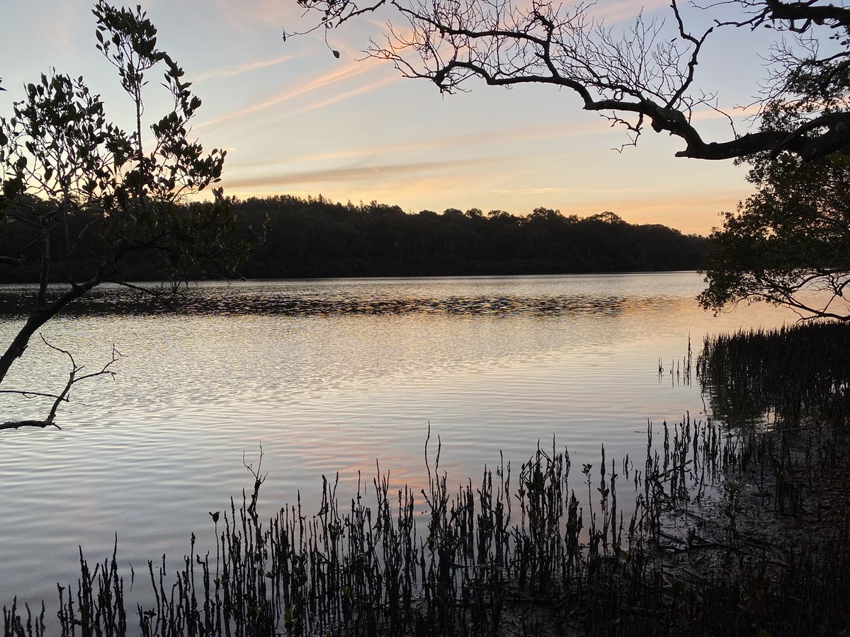 Wisps of apricot in a fading grey-blue sky.