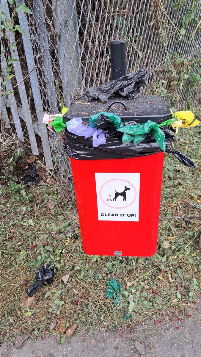 DerekAGrist tweet media