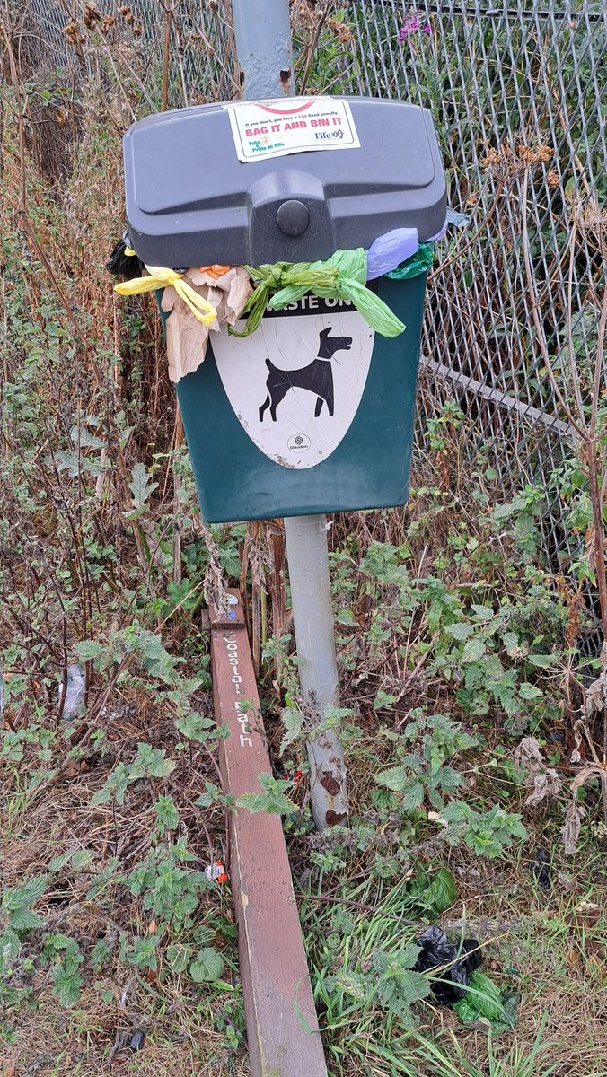 DerekAGrist tweet media