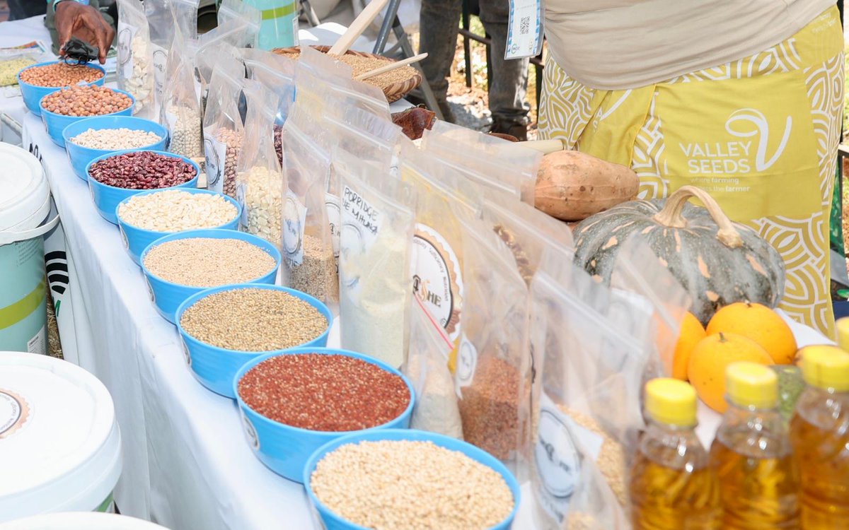ZimFirstLady's tweet photo. My agro-tourism initiatives were highlighted at the recent Zimbabwe Agricultural Show, emphasizing the impact of my Agric4She programmes on food security and women's empowerment. 

As Patron of Agric4She, I  have brought awareness and working culture in our women to prevent problems caused by laziness, procrastination, rumour mongering, prostitution, GBV, child marriages and ubuntu/unhu cascading down to our children.

Visitors experienced authentic farm life with displays of high-quality crops and traditional foods at Amai Kitchen, showcasing dishes made from ingredients sourced from women farmers.
 
My Angel of Hope mobile hospital provided free health screenings for women, emphasizing the link between health and agriculture. 

As tourism Patron,  I emphasized the promotion of cultural tourism, thus preserving Zimbabwe's heritage. I indicated that tombstones should carry historical records, which include what the past generations consumed, valued, and enjoyed so that future generations can learn.

The Garden of Remembrance of our dear departed lineage gave visitors the opportunity to engage with Zimbabwe's cultural traditions.  

These efforts aligned with the theme “Building Bridges: Connecting Agriculture, Industry, and Community,” thus strengthening community ties and promoting sustainable practices.