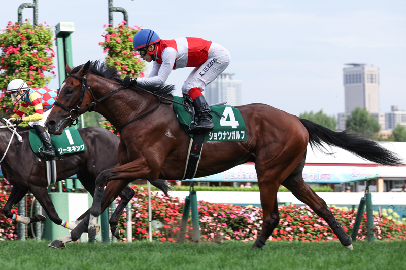 Gallop週間100名馬。ナイスネイチャと応募写真。 週間100名馬 Vol.41 ナイスネイチャ (Gallop臨時増刊) | 産業