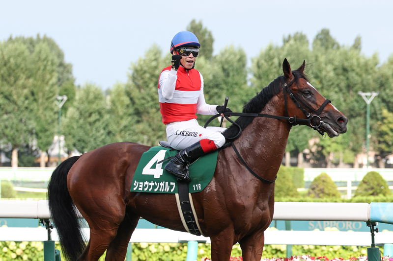 Gallop週間100名馬。ナイスネイチャと応募写真。 週間100名馬 Vol.41 ナイスネイチャ (Gallop臨時増刊) | 産業