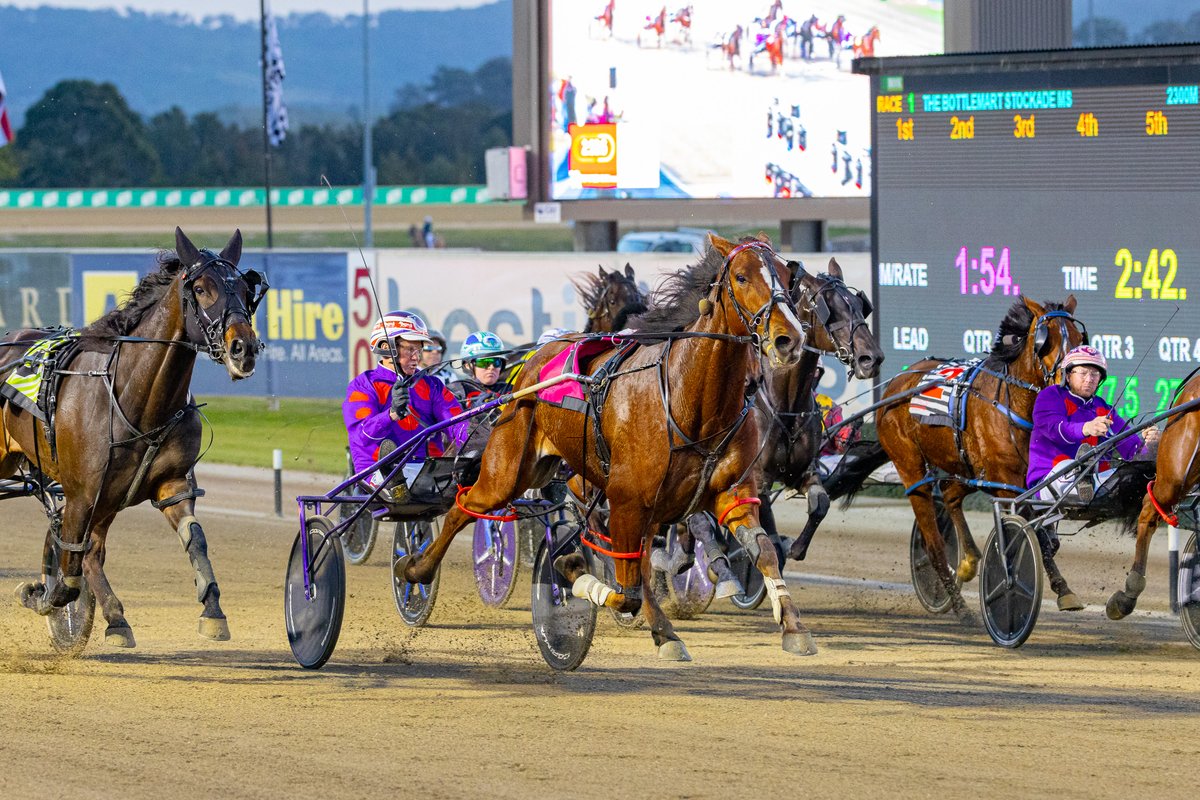 Club Menangle tweet media