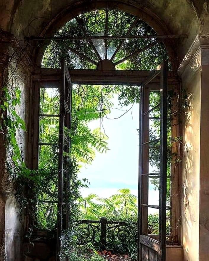 abandonedspaces's tweet image. You can find beauty in the strangest places…
#abandoned