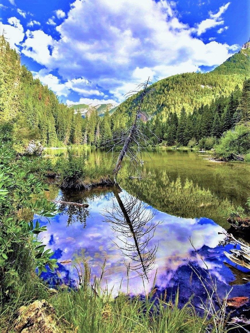 Lizard Lake,Colorado-USA.