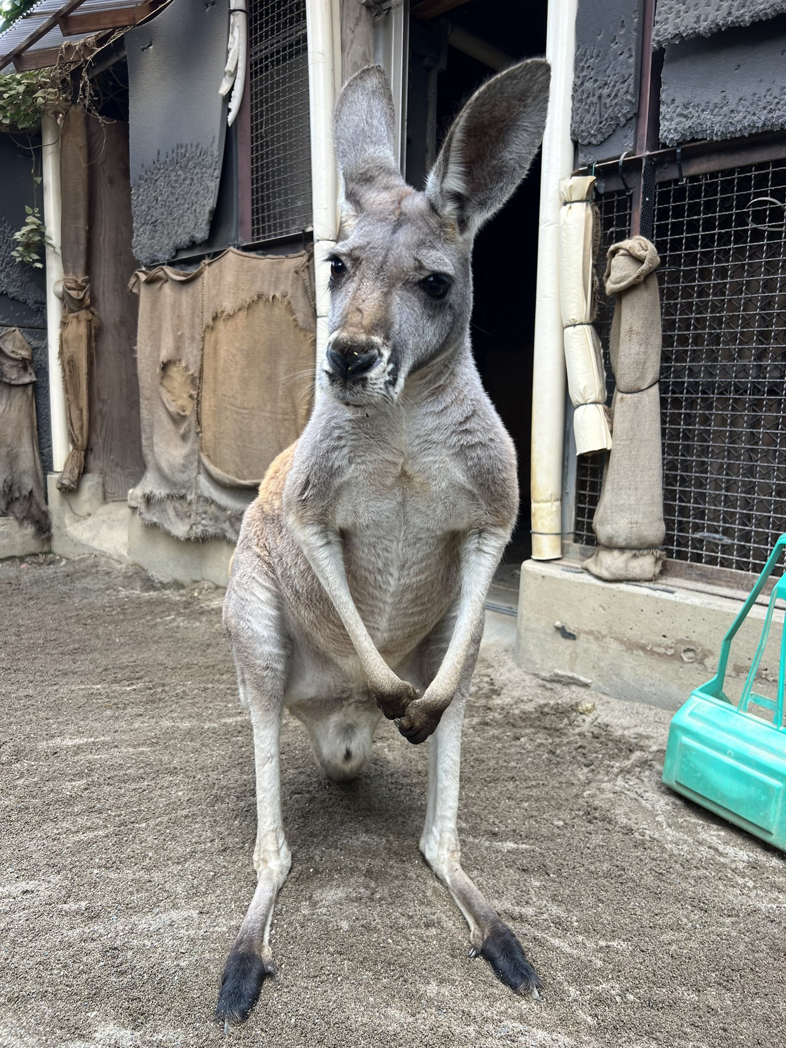 須坂市動物園【公式】 on X: 