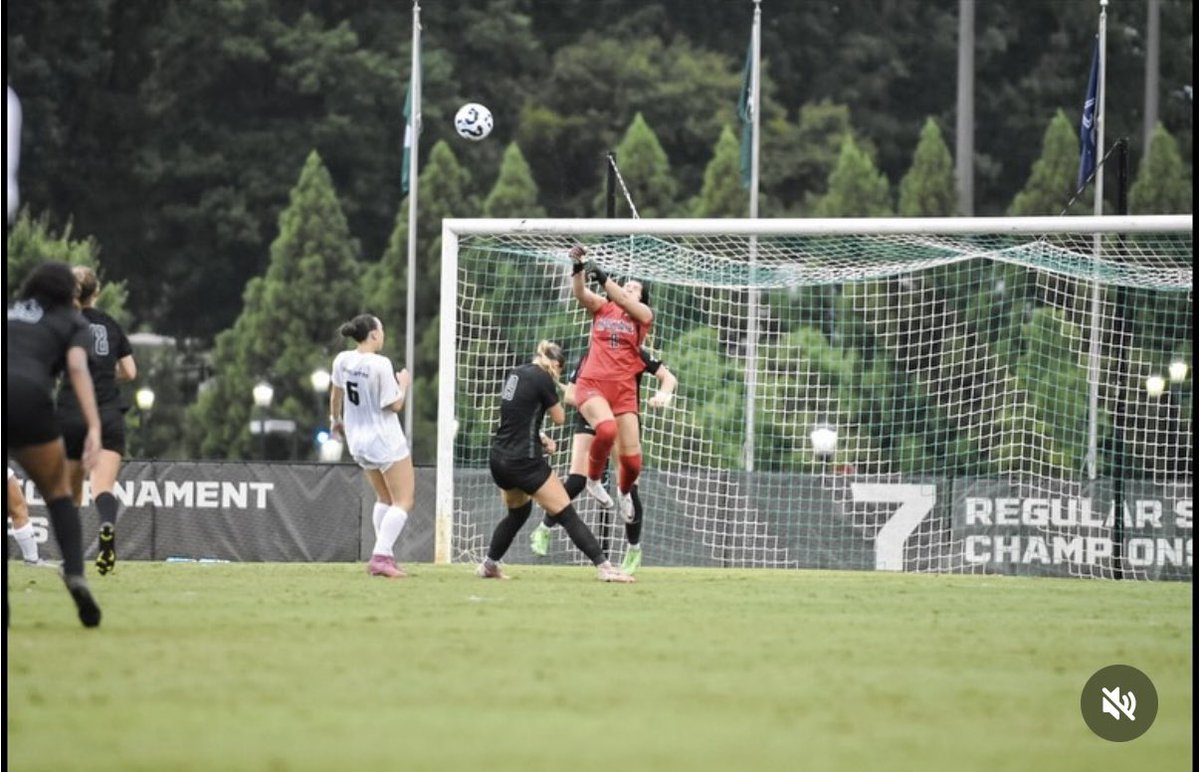 averyheeb tweet media