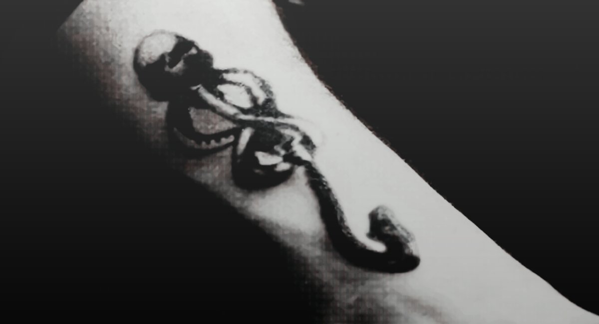 ᅠ𝓓𝐫𝐚𝐜𝐨 𝓜𝐚𝐥𝐟𝐨𝐲ᅠ (@dontlethimdie) on Twitter photo 