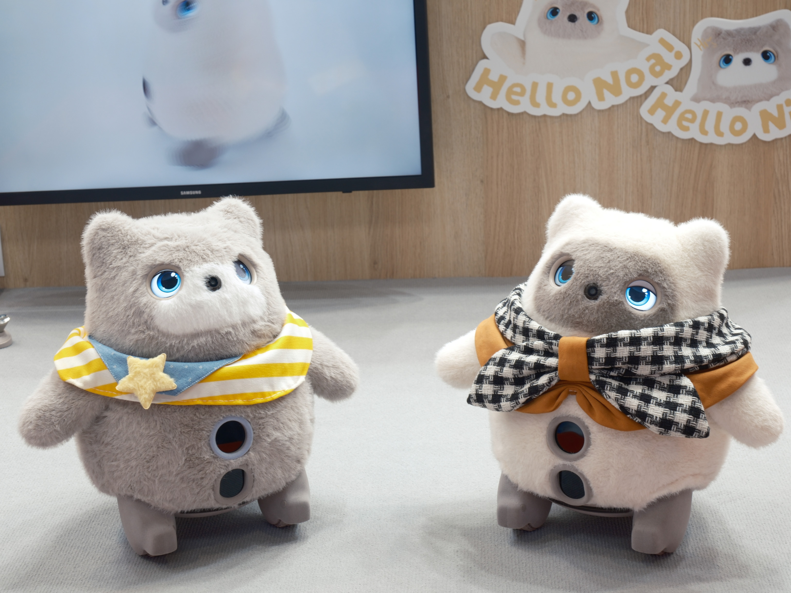 きんぎょページ 金魚王子】虎蝶尾 11.5cm前後 (個体番号：cde431) 金魚 きんぎょ