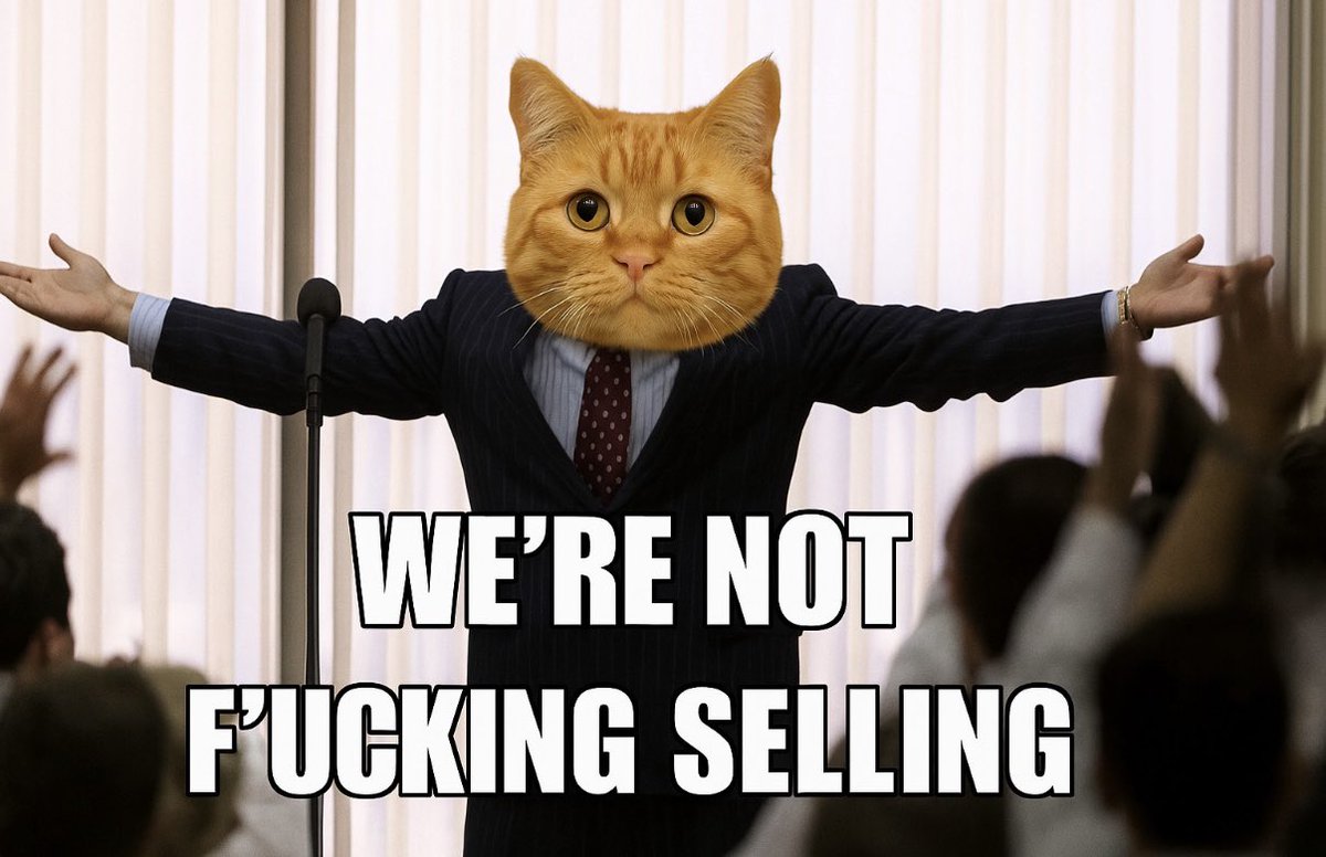 Waffles Davincij15's Cat (@wafflesj15) on Twitter photo 