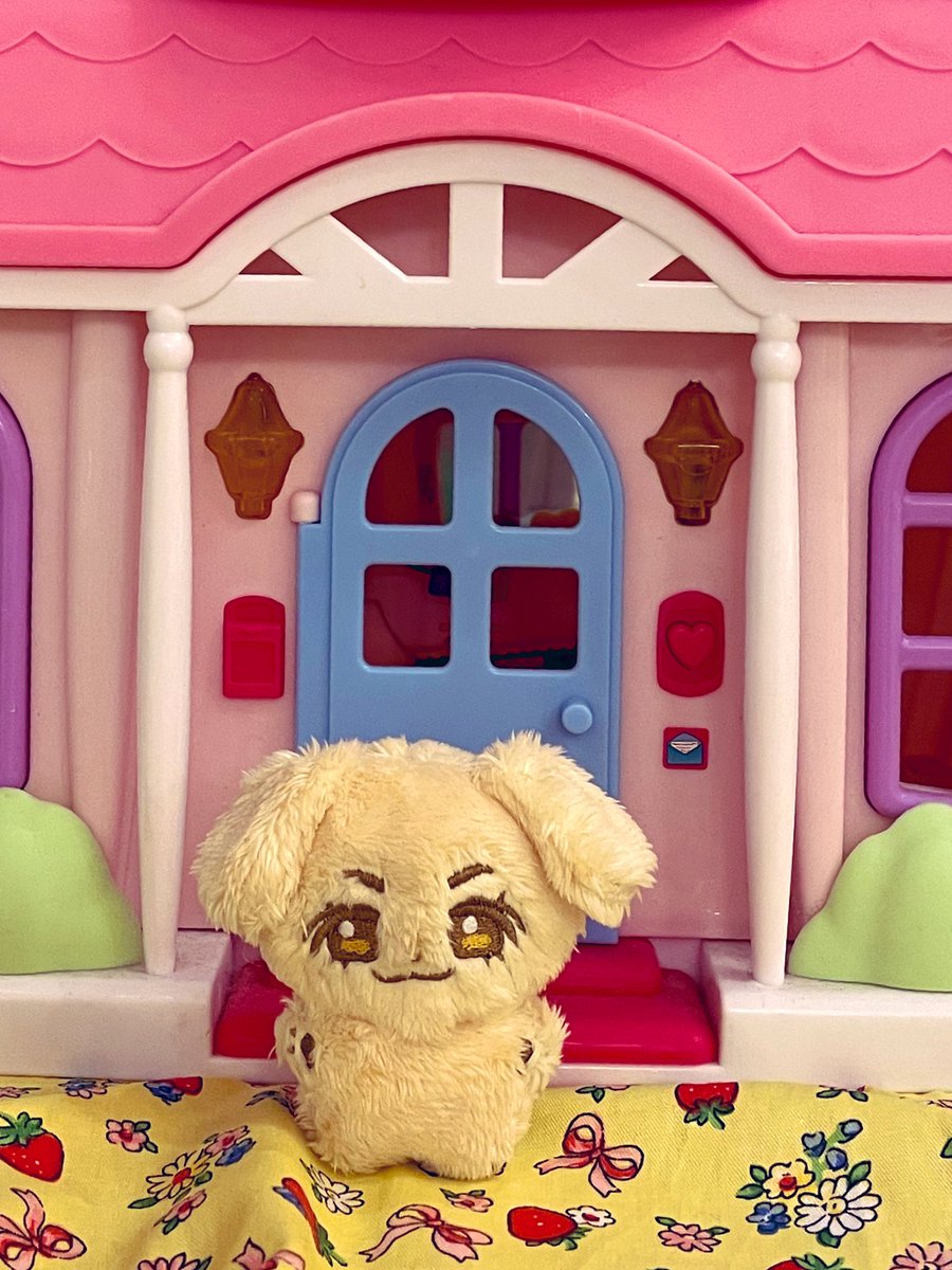 마키삐는 튼튼한 다리와 똔똔한 꼬리로 자립이 가능해요...♡