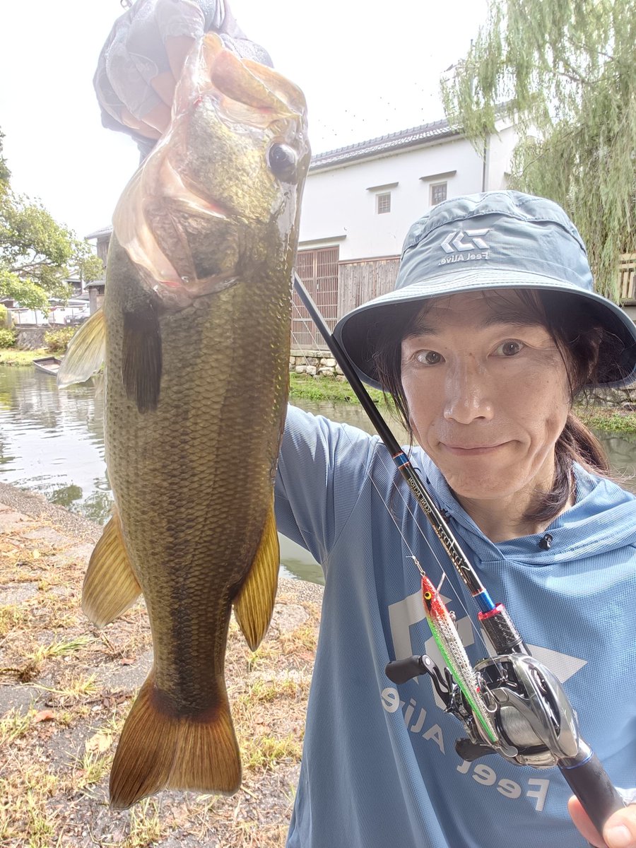 coayu2's tweet photo. これがウワサのスピンテールログ‼️Gillさんで販売されてる噂のルアー。使ってみたら
凄かった☺️☺️
コレはハマっちゃいます
アリガトー💖💖💖
#これがウワサのスピンテールログ
＃ラトリンログ
#Gill https://t.co/IdHECijciQ