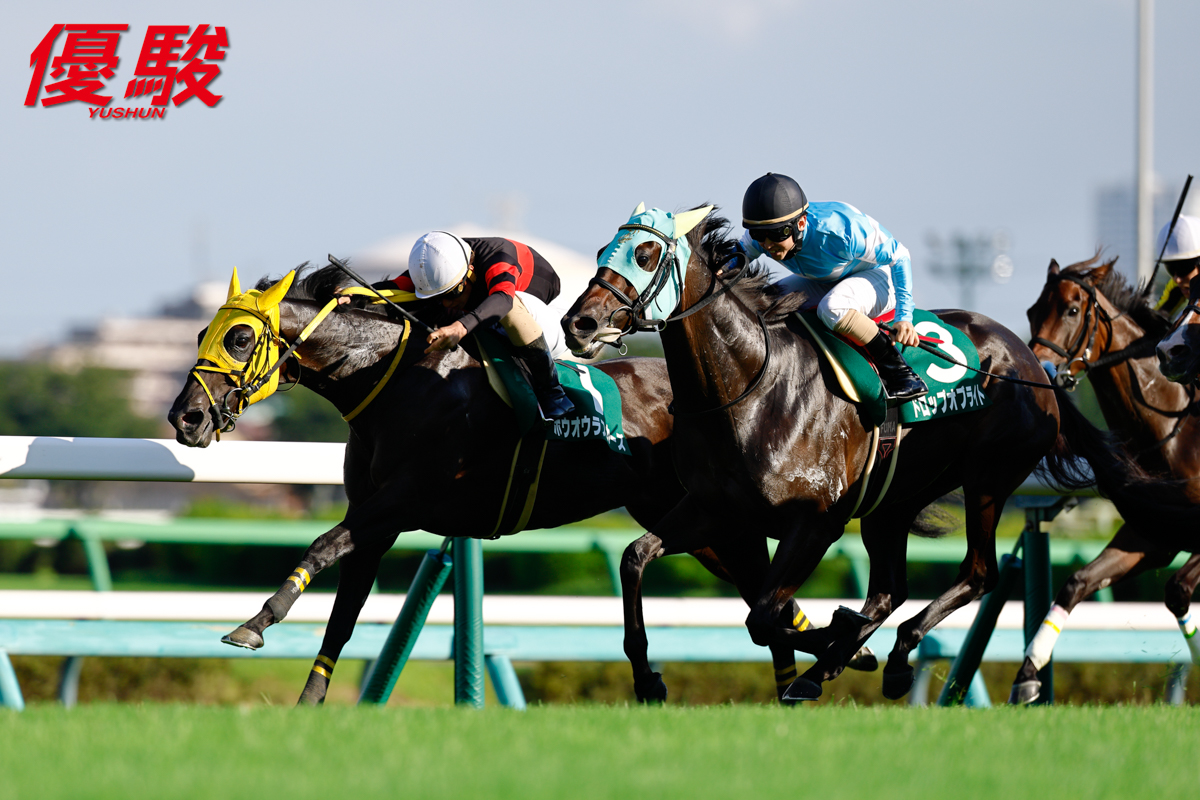 宇都宮競馬 JRA 中央競馬騎手招待競走 栃木県知事 トロフィー 2023】第41回ニュージーランドトロフィー（GII）中山競馬場11R