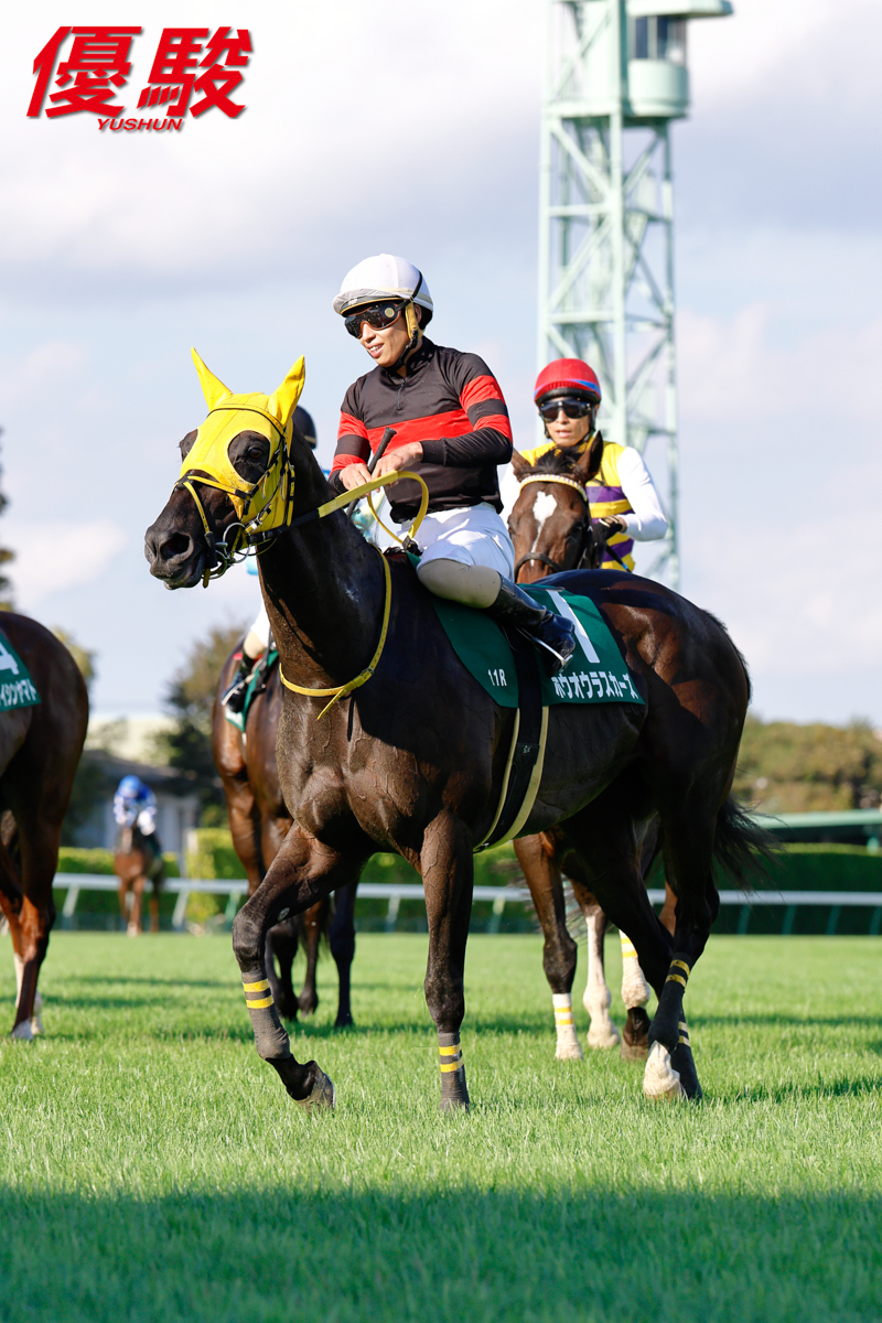 宇都宮競馬 JRA 中央競馬騎手招待競走 栃木県知事 トロフィー 優駿』編集部 on X