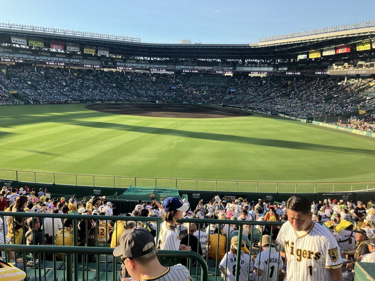 今日も今日とて