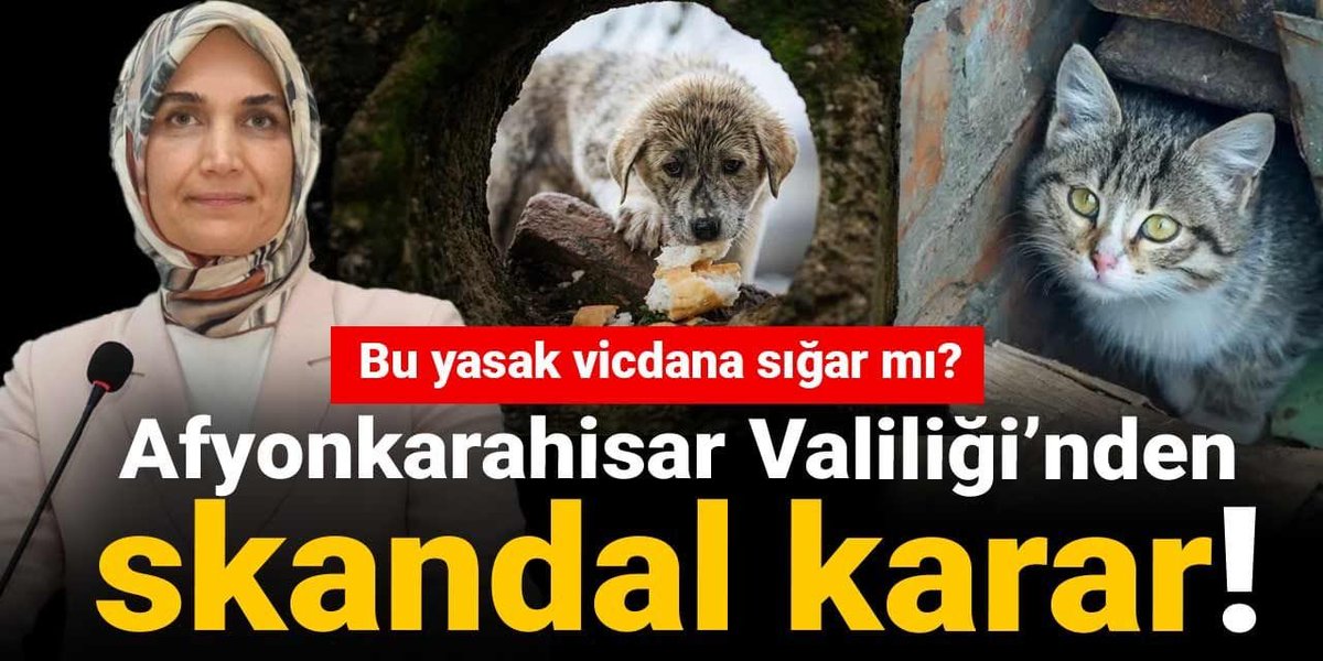 Afyonkarahisar Valiliği sokak hayvanları için oluşturulan beslenme noktalarının kaldırılmasına, hayvanların beslenmesinin yasaklanmasına karar verdi 
halktv.com.tr/gundem/afyonka…