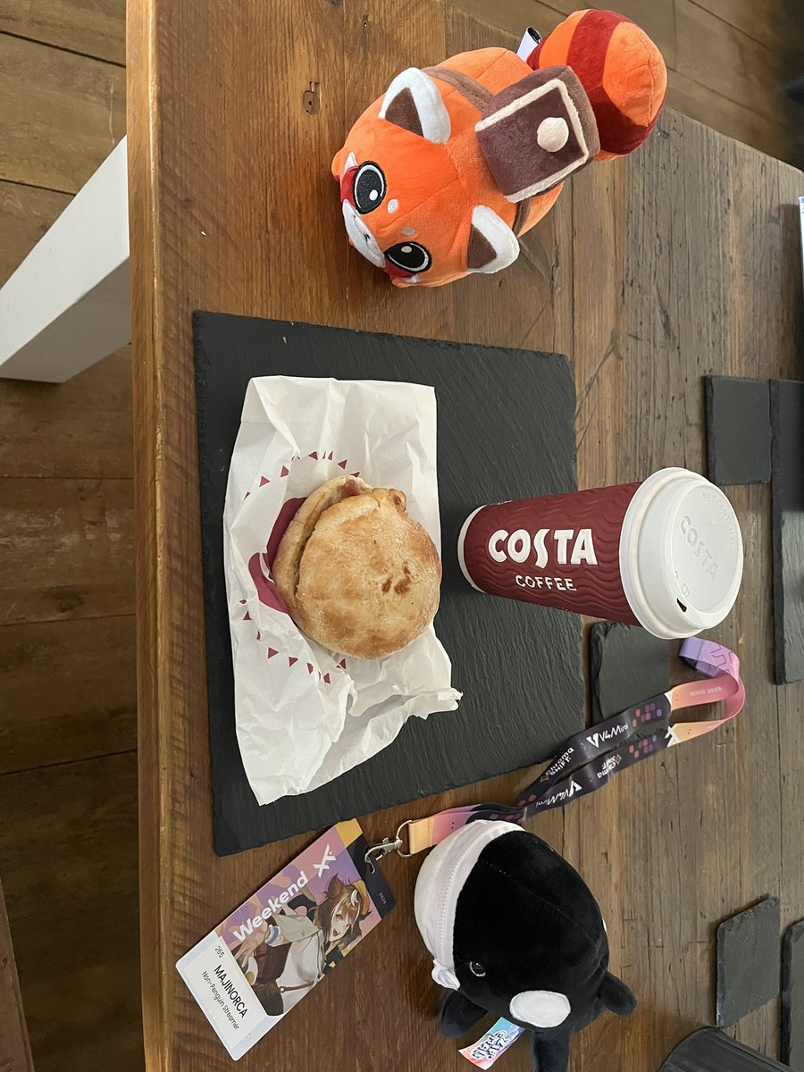 Getting prepped for #VeXpo2025 the right way