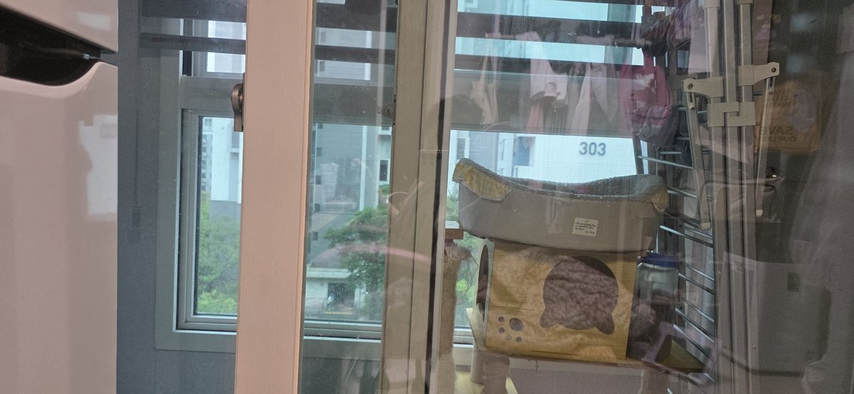 날씨가 참 오락가락...
아침에 나갔다 온 게 신의 한수