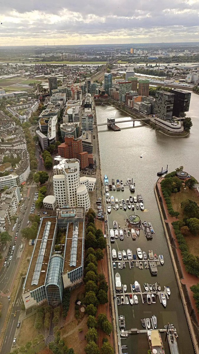 ᴠᴇʀɪᴜᴍ tweet media