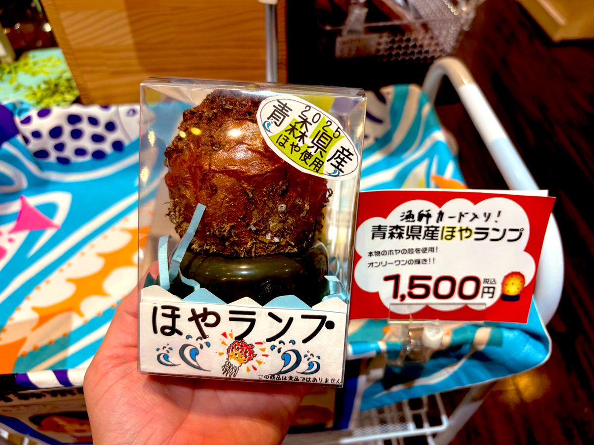 ラスト1個！！ ほやランプ2025ラスト1個です！ 可愛いフジツボ