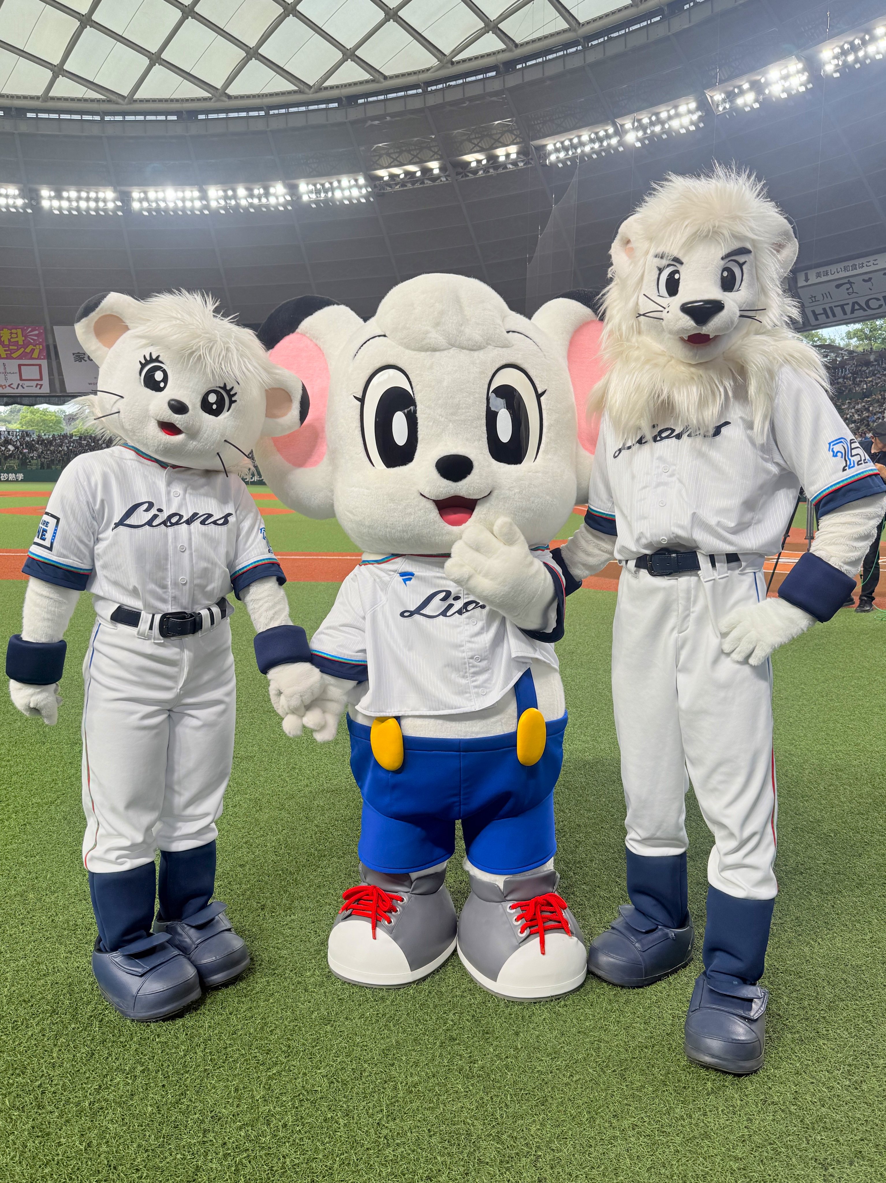 西武ライオンズジャングル大帝シリーズ　うちわ 埼玉西武ライオンズ うちわ 3個セット ライオンズクラッシック