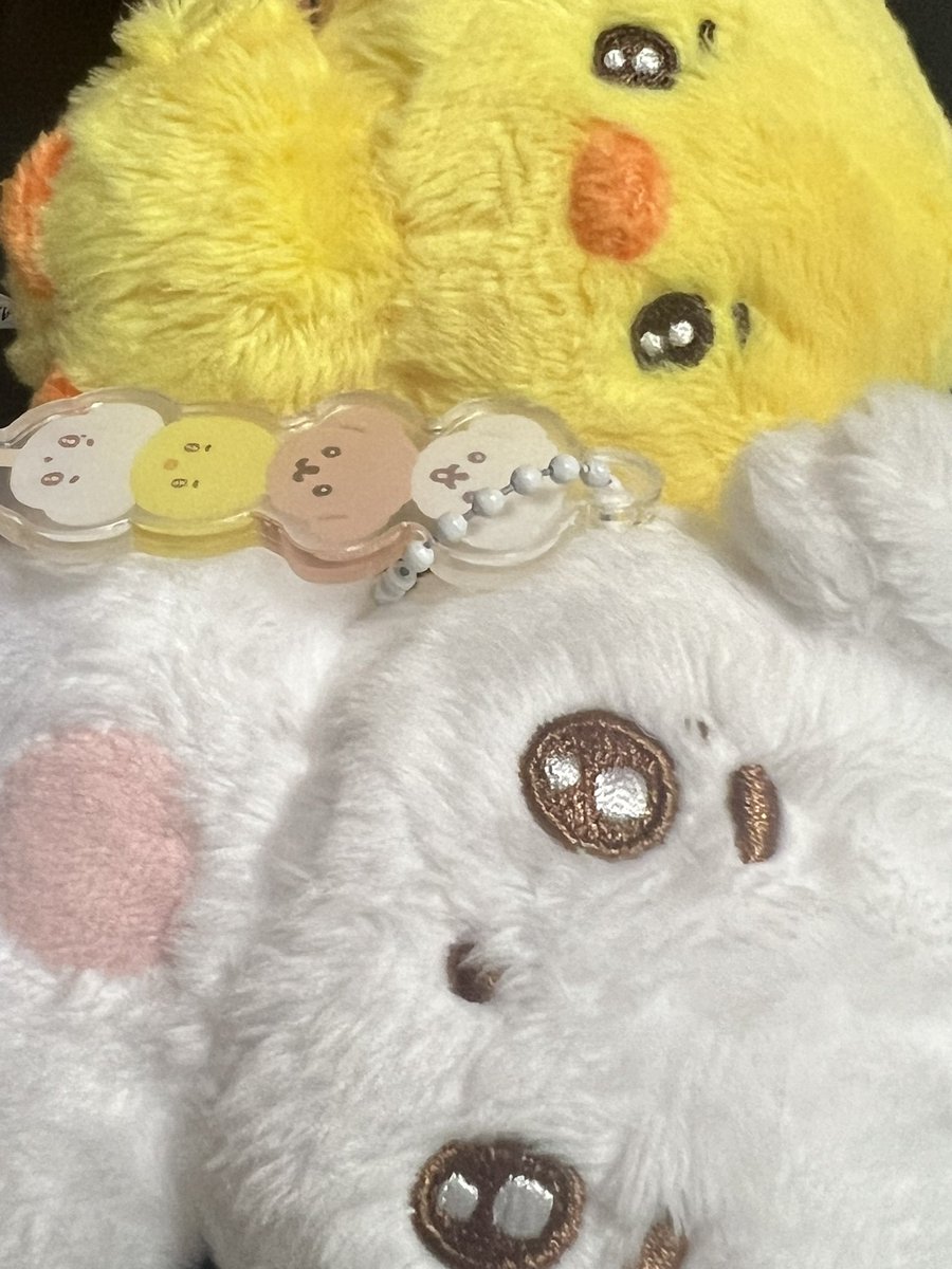 삐뭉치 예쁘게 제작해주셔서 감사드립니다🥹
실물이 더 예뻐요..ᯓᡣ𐭩

<a href="/davichi_doll/">삐뭉치</a>