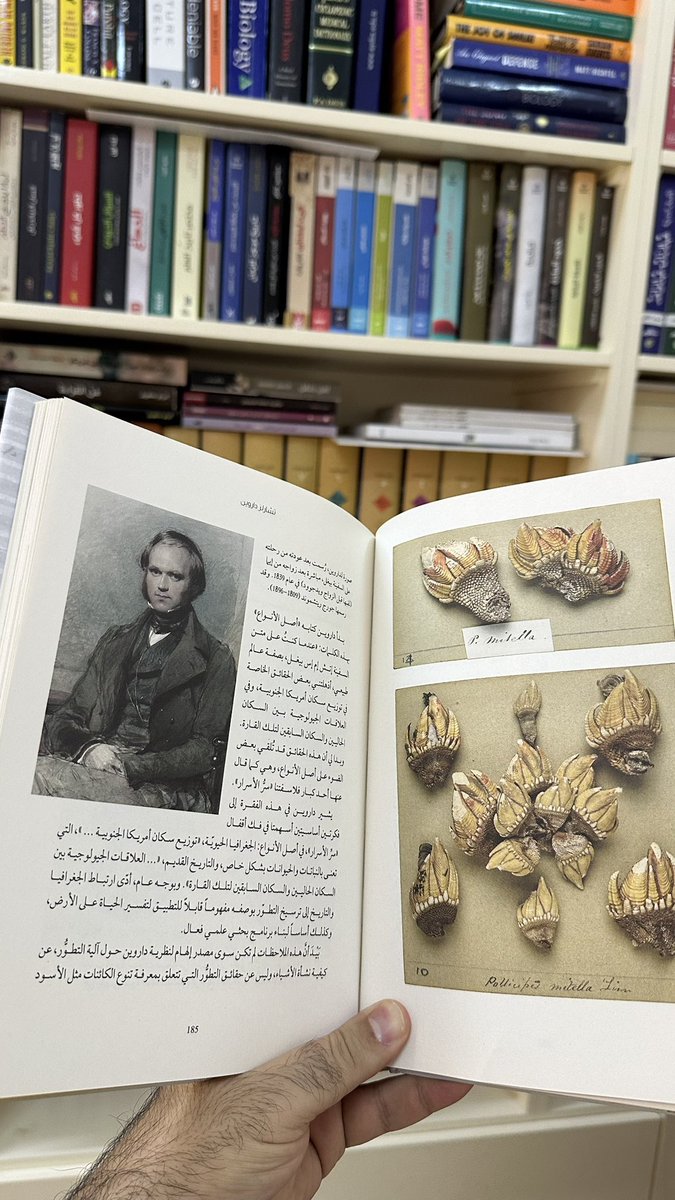 عندما تتعامل مع مؤسسة تحترم القارئ والمترجم، ولديها هدف رائد بترجمة أعمال أصيلة جديدة لخدمة المجتمع وسد فجوة كبيرة في موضوع الكتاب العلمي، يخرج العمل بجودة عالية. آخر كتابين مع مشروع كلمة. استمتعت كثيرًا بين مغامرات عالم الأحياء وعوالم الفيزياء.