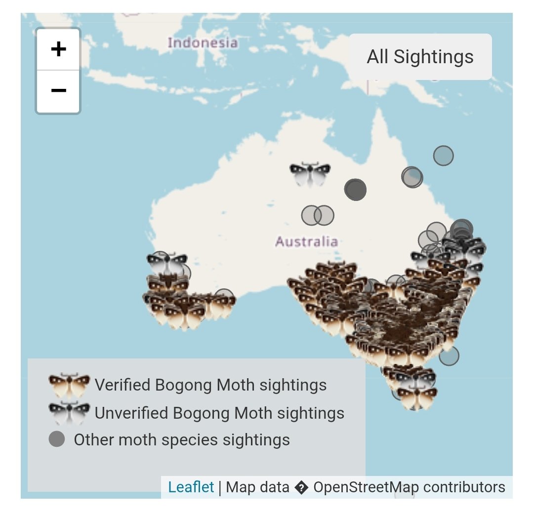 drmparrott's tweet photo. It's National #ThreatenedSpeciesDay tomorrow. I'm excited to be in the ABC News TV Studio tomorrow morning to talk about Endangered Bogong Moths & Mountain Pygmy-possums, Moth Tracker, & how you can help!
Tune in for more 🐭🦋
@abcnews @ZoosVictoria #MothTracker https://t.co/XVWWzrYHGr