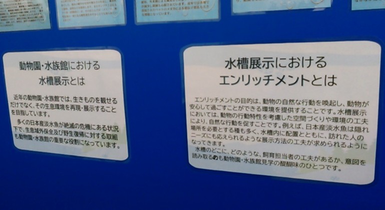 Hyper-Naturalist KK tweet media