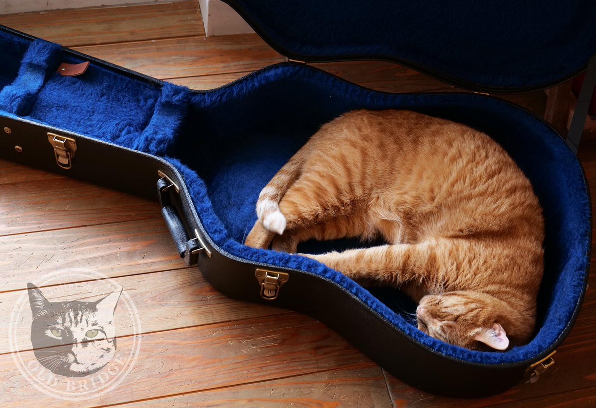 oldbridge_jp's tweet image. 明日9月7日(日)はオーナーさんライブの為、お休みとなります。
よろしくお願いいたします。
oldbridge.jp