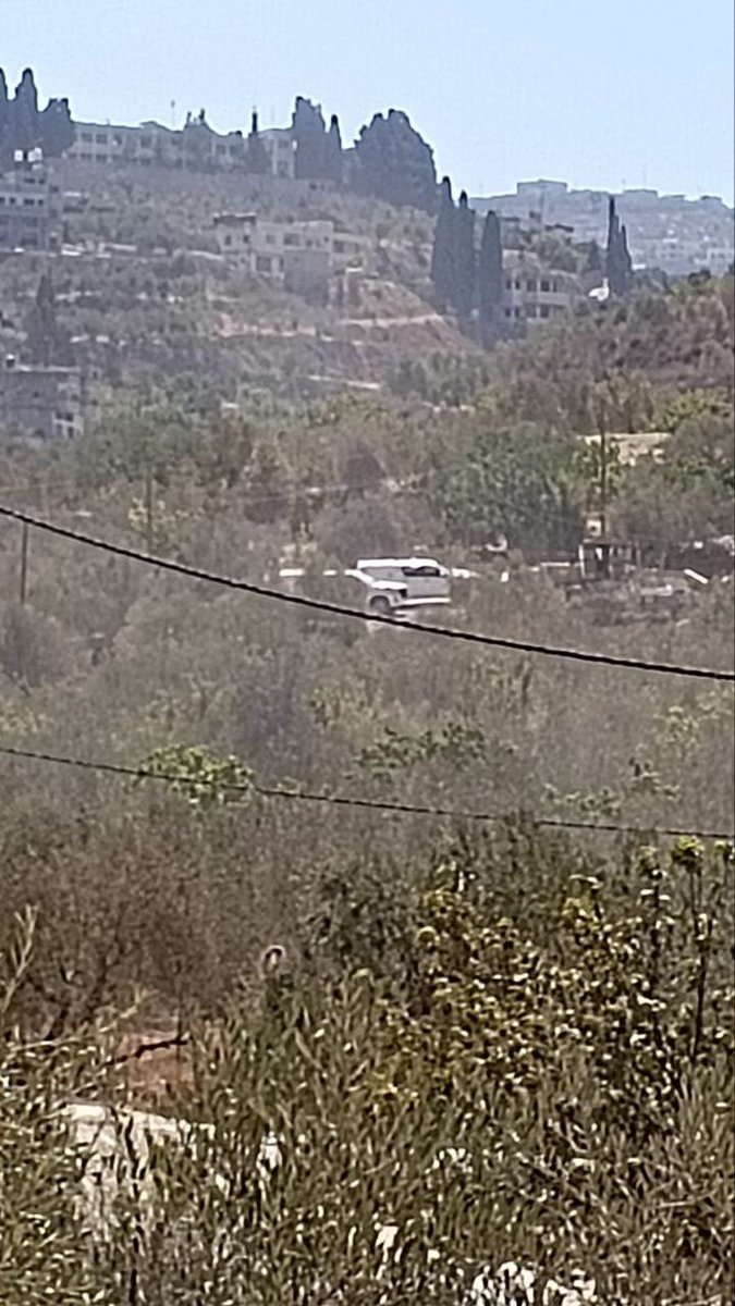 Israeli occupation forces storm the town of Sebastia, northwest of Nablus, in the occupied West Bank, while halting municipal work and detaining contractors.