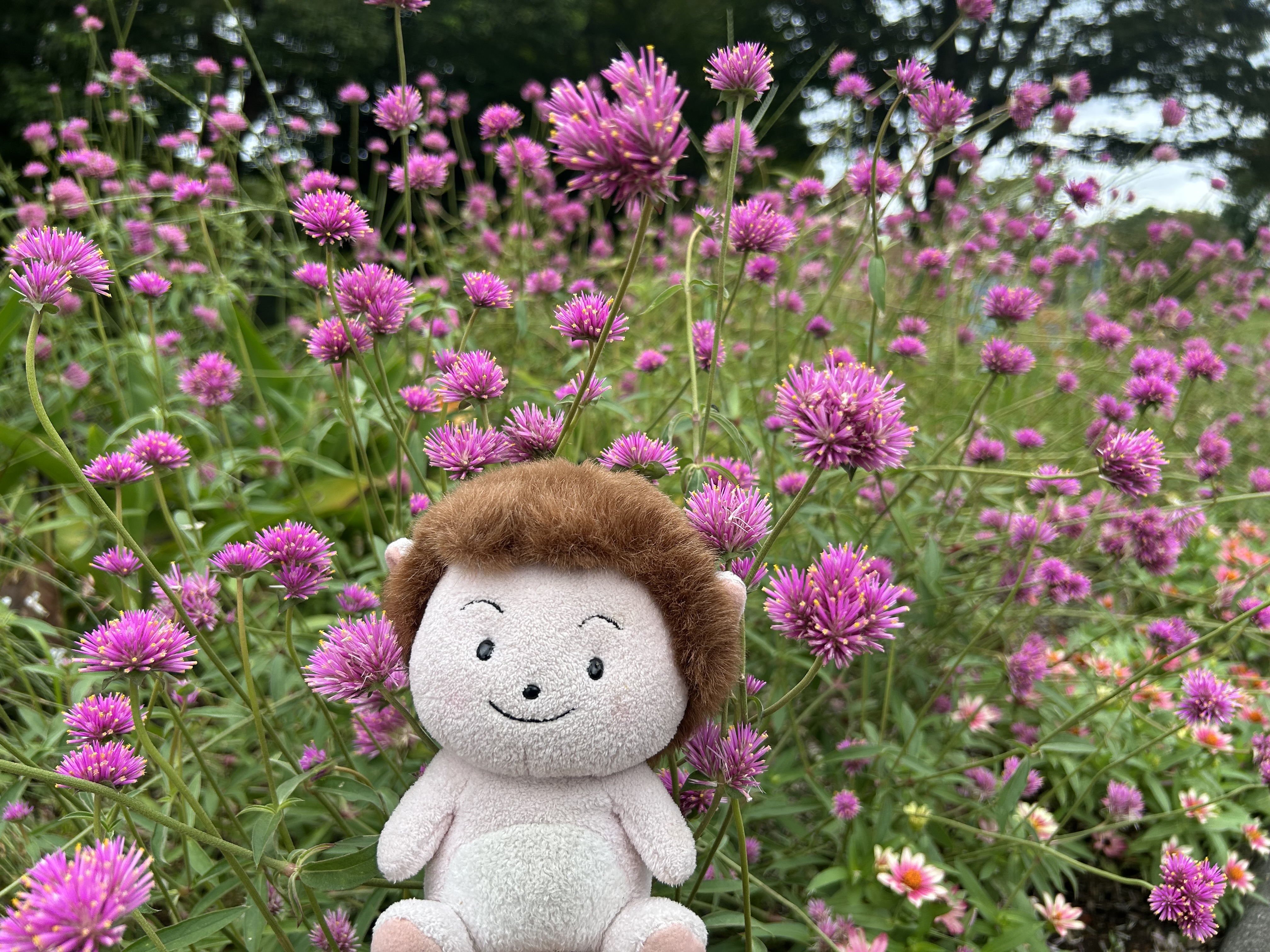 とちぎわんぱく公園 on X: 