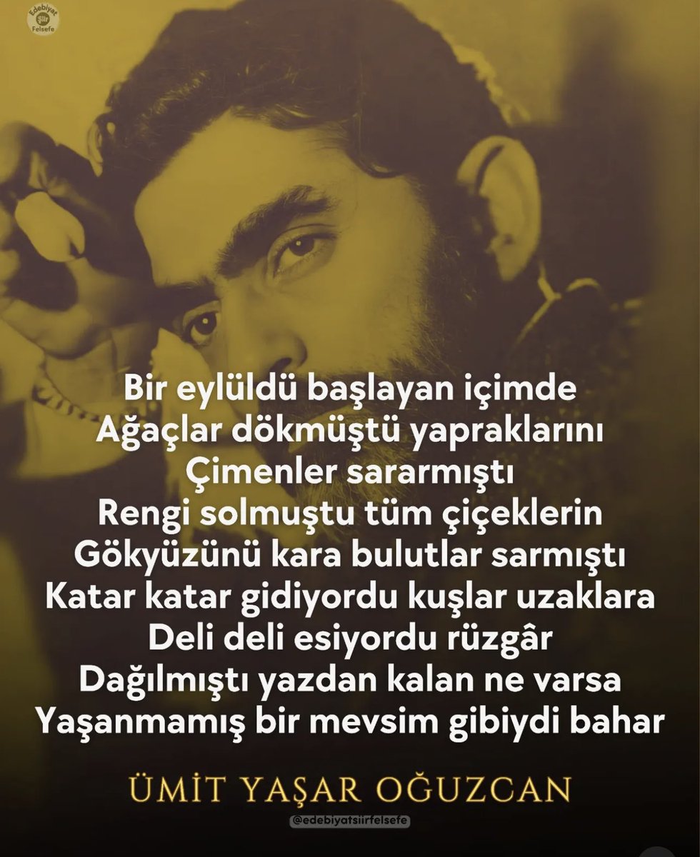 Beyza (@beyzaust1) on Twitter photo 