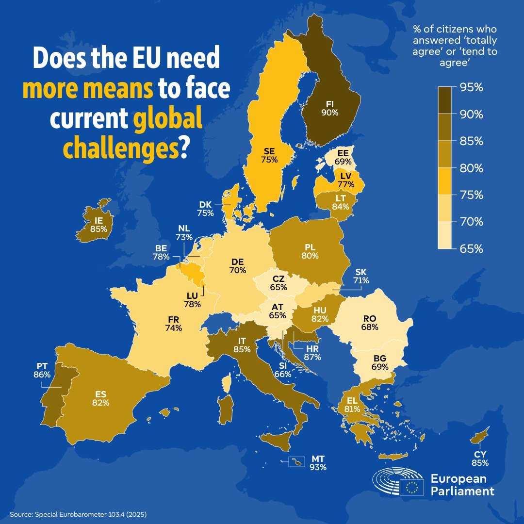 Security threats, economic uncertainty, climate change... Europe is facing many challenges.

Three quarters of EU citizens believe that the EU needs more means to remain strong in an unpredictable global environment, according to the latest Eurobarometer survey.