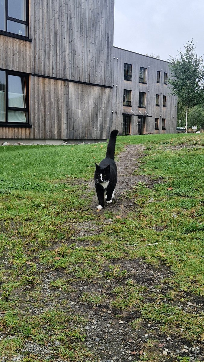 Findus on adventures!