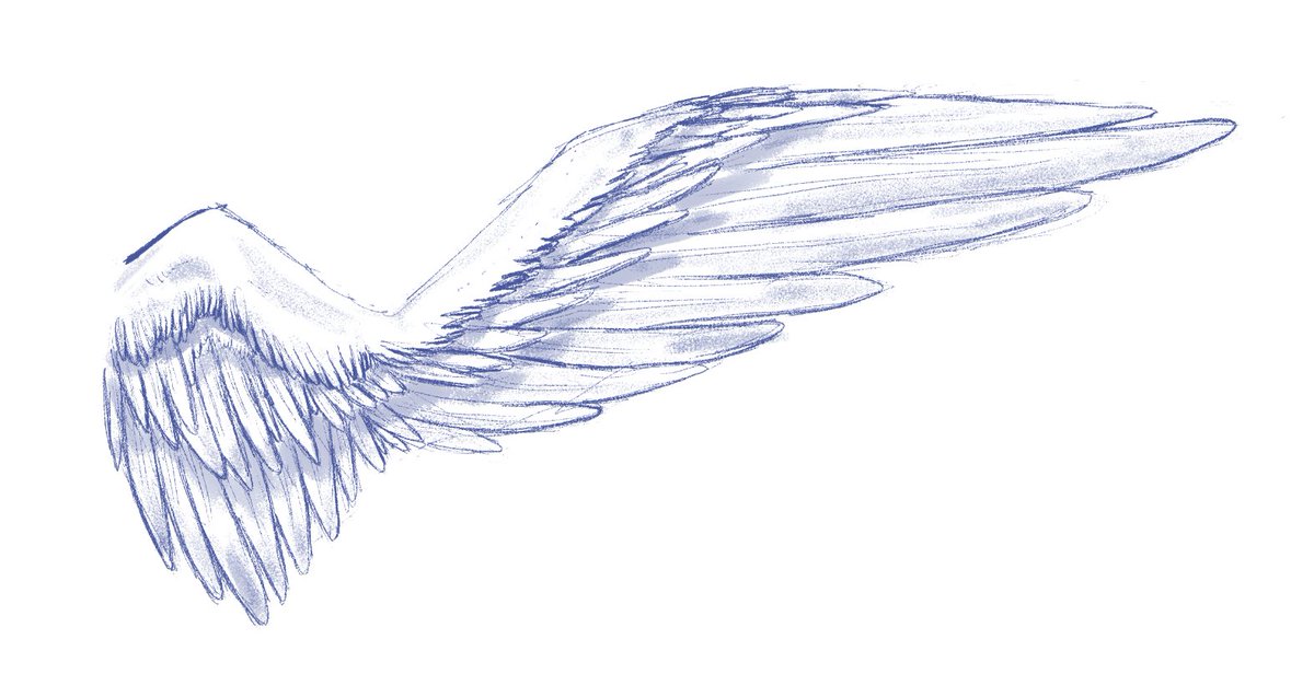 CheetDah's tweet photo. Drew a wing. It was for a 30 min challenge.

#drawing #digitalart https://t.co/dCgfHpka9K