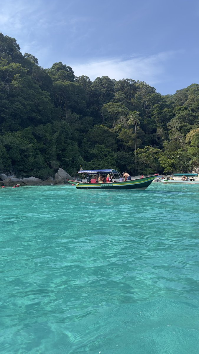 bayonetta🪭 tweet media