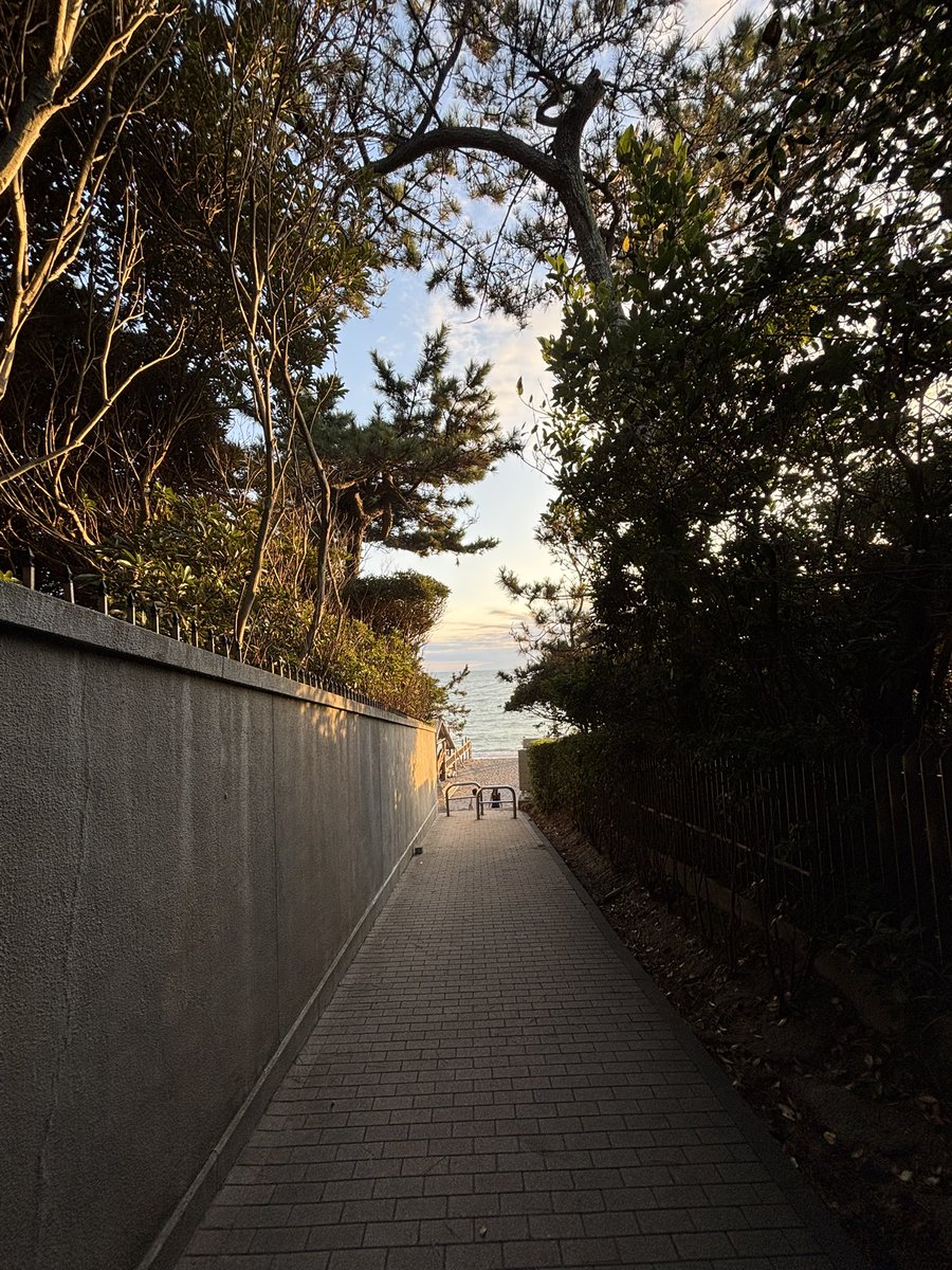 MasativeLife's tweet image. 秋が近づいてきましたね🍂
夕陽に癒される土曜の夕暮れ😌

#一色海岸
#真名瀬バス停
#逗子海岸
#写真好きと繋がりたい