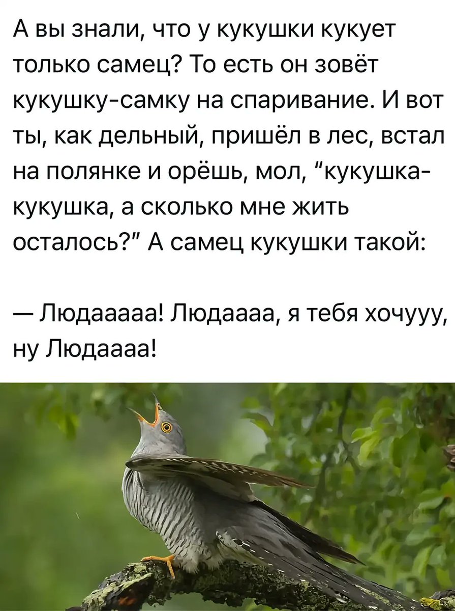 Блять🤣🤣🤣