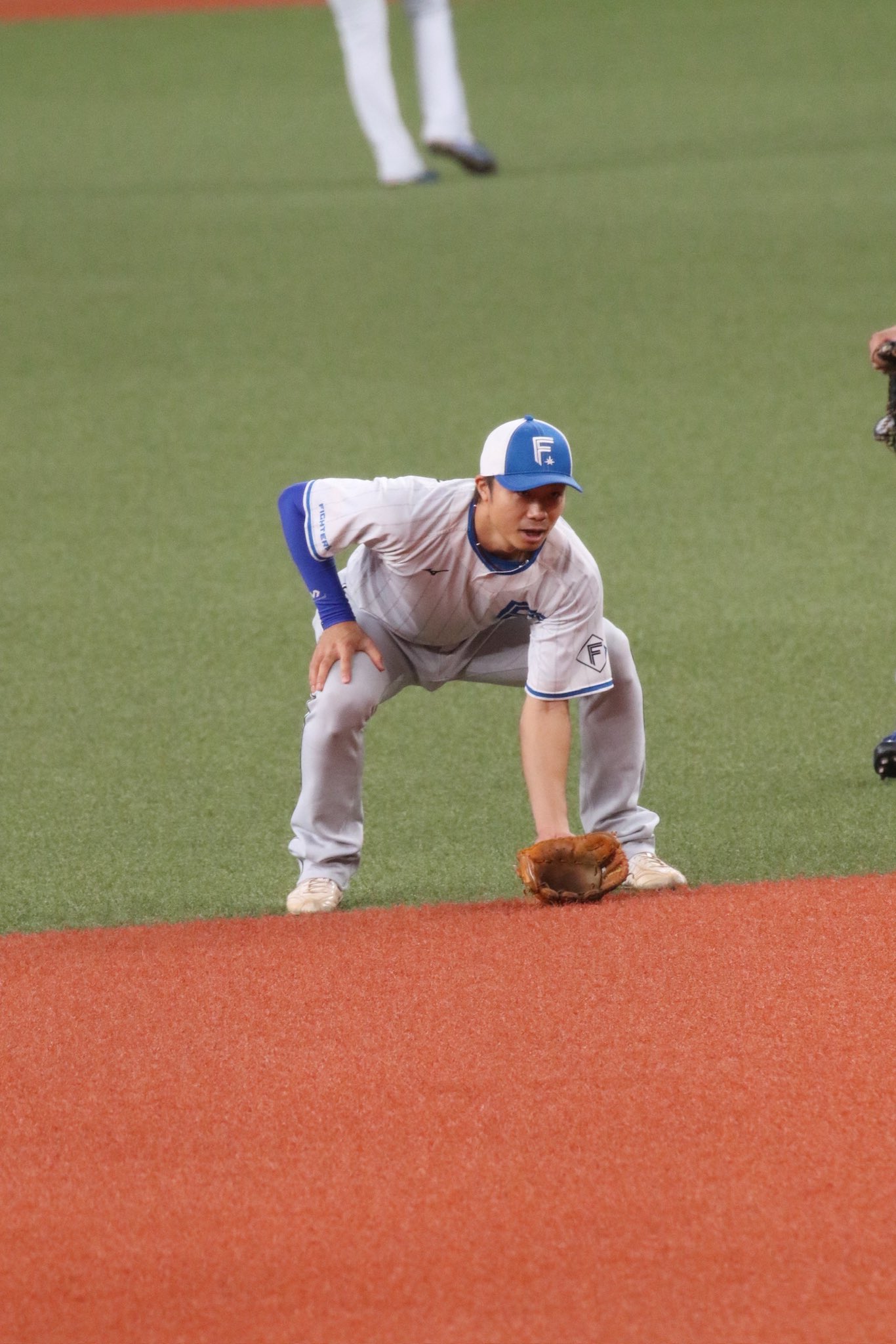 中島卓也フットガード 中島卓也フットガード 中島卓也フットガード 脱がせ - 防具