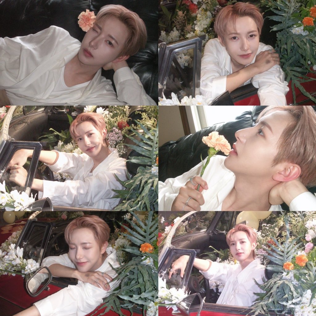 ดั่งบุษบา สวยสง่า น่าเชยชม
แต่ได้เพียง นอนระทม คะนึงหา
มิอาจแตะ ต้องได้หรอด ดวงผกา 
จึงได้แต่ ถวิลหา ต่อไปเอย
🌸🌹🌻💐🌺🌼🌷

 RENJUN'S SCENT 
#JANUAxRENJUN