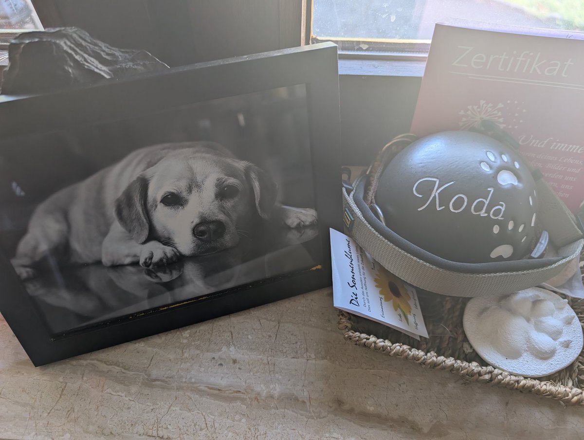 Gone but Not forgotten 

#gbnf

Farewell my Brother

Heut is Mal wieder so ein Koda vermiss Tag